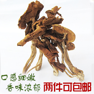 2016新茶树菇　四川土特产干货　食用菌种 新鲜嫩茶花姑 一斤包邮