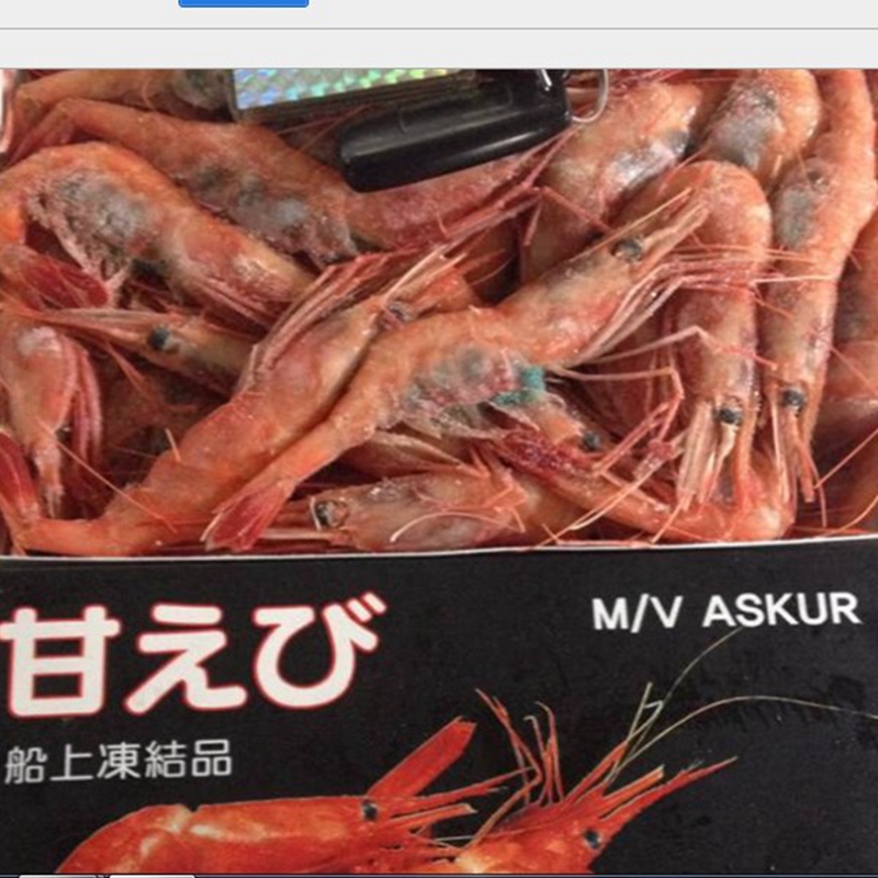 加拿大进口北极格陵兰甜虾进口刺身料理食材 头带籽大号进口甜虾