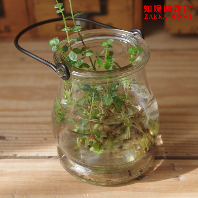 zakka杂货 玻璃花瓶 水培花器 透明 日系 铁线吊瓶 花瓶摆件