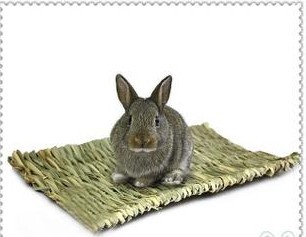 龙猫兔兔仓鼠 豚鼠脚垫小宠草垫冬季保暖 防脚炎满