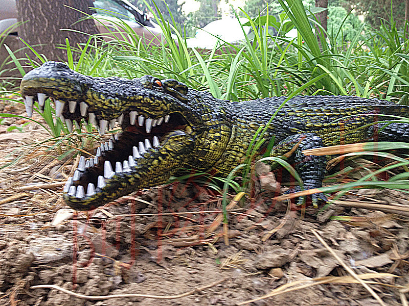 厂家正品促销特大号75cm仿真鳄鱼动物恐龙怪兽玩偶模型礼品玩具