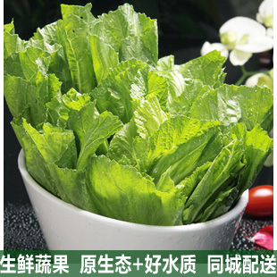 凯里【慧生活】绿色食品新鲜蔬菜 芥菜 盖菜500g 凯里配送