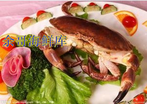 余哥海鲜库 生猛鲜活螃蟹/海蟹/母螃蟹 （英国）面包蟹鲜活