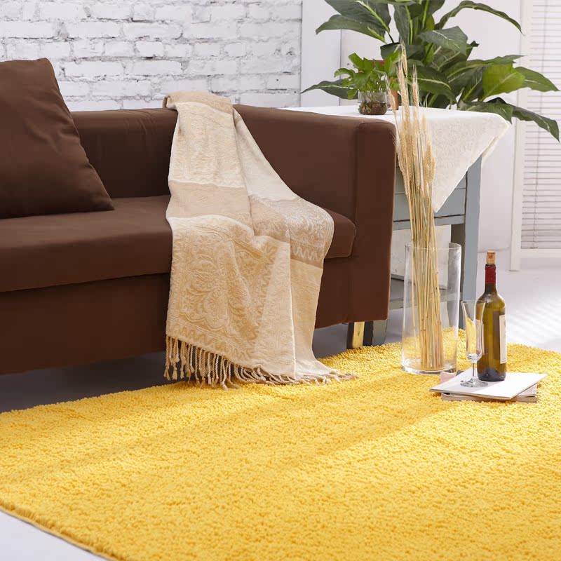 特价欧式现代满铺雪尼尔地毯客厅沙发茶几地垫门垫卧室床边毯包邮