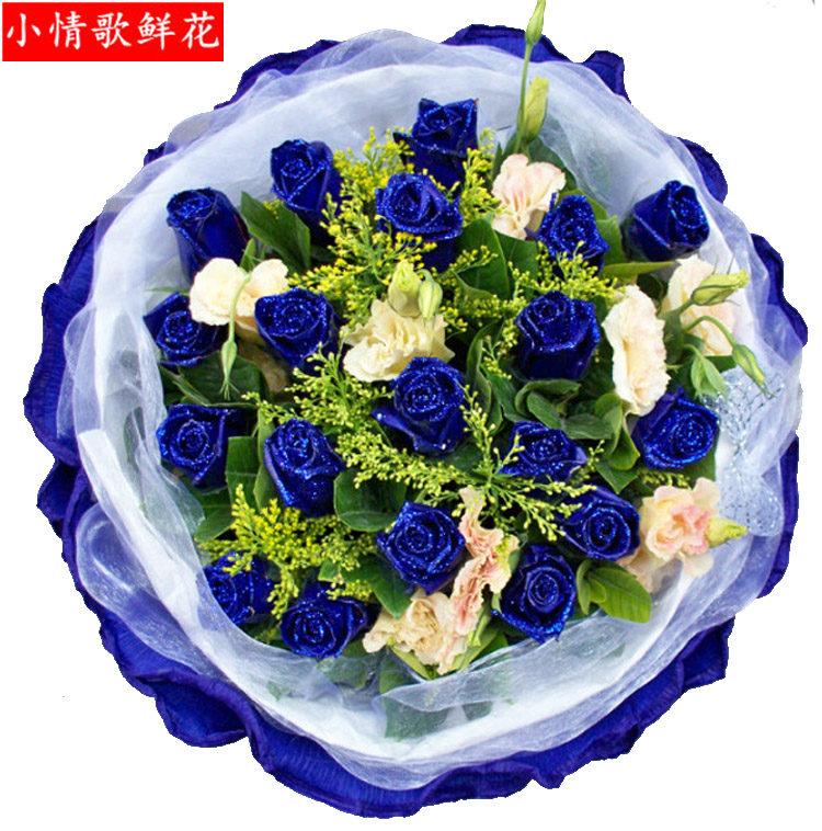 19朵蓝色妖姬情人节鲜花玫瑰送花潍坊寿光昌乐诸城临朐青州鲜花店