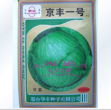 蔬果种子 京丰一号甘蓝种子 包头菜 肉质嫩脆
