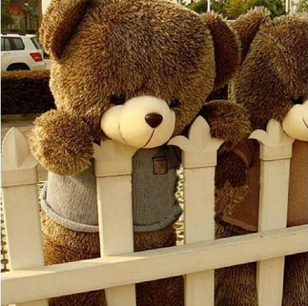 正品 泰迪熊 公仔毛绒玩具布娃娃熊 大抱抱熊 女生日礼物结婚包邮