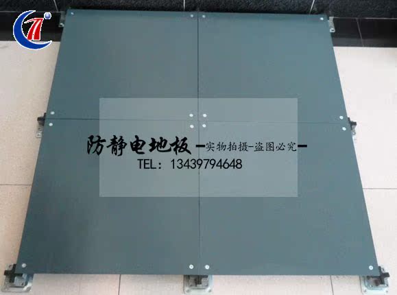 OA网络地板线槽地板 (全钢制活动地板)500*500*28mm