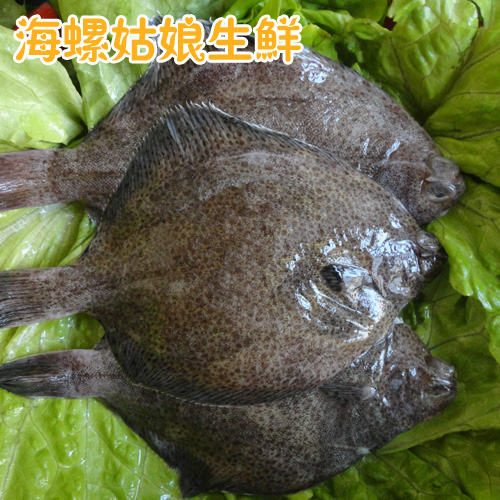 青岛特产新鲜鼓眼鱼 海鲜水产偏口鱼 比目鱼 肉多刺少宝宝爱吃
