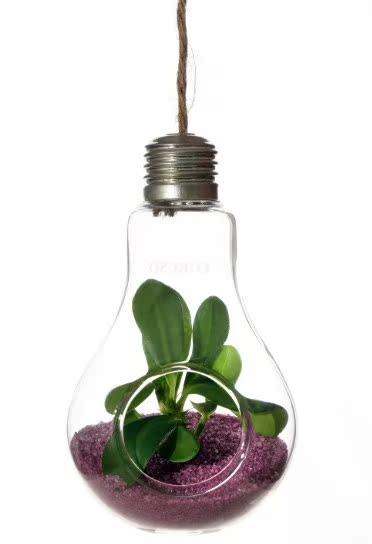 【天天特价】灯泡花瓶植物瓶吊瓶家居装饰瓶 不含植物