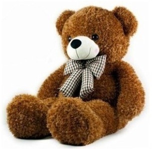 包邮礼物泰迪熊毛绒玩具卷毛熊压床娃娃抱抱熊洋娃娃大号公仔秒杀