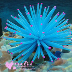 仿真海胆软体珊瑚鱼缸造水族箱造景海洋生物装饰摆件逼真蓝色甩卖