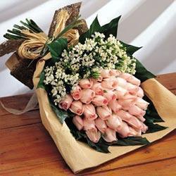 33朵粉玫瑰花|情人节生日祝福鲜花速递|北京上海福州花店送花