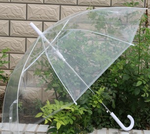 特价 经典透明直杆伞 弯勾 长柄自动伞 环保伞 晴雨伞