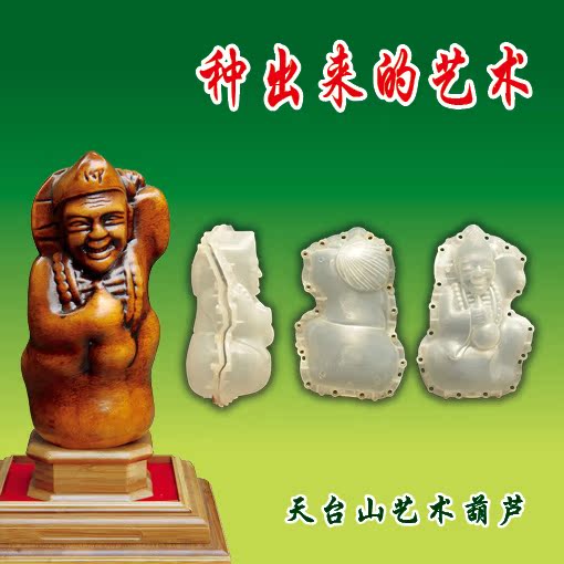天台山艺术葫芦范制葫芦模具创意趣味种植送葫芦种子 济公1