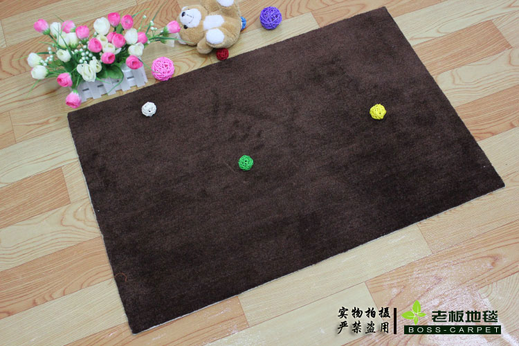 韩式特价进门垫赠品床边毯可爱加厚地客厅茶几卧室地毯50*80厘米