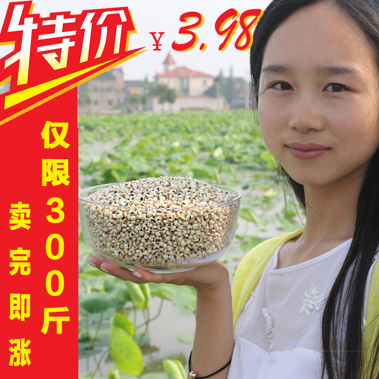 正品农家纯天然薏米 精选薏米仁 有机薏仁米非转基因苡米仁250g