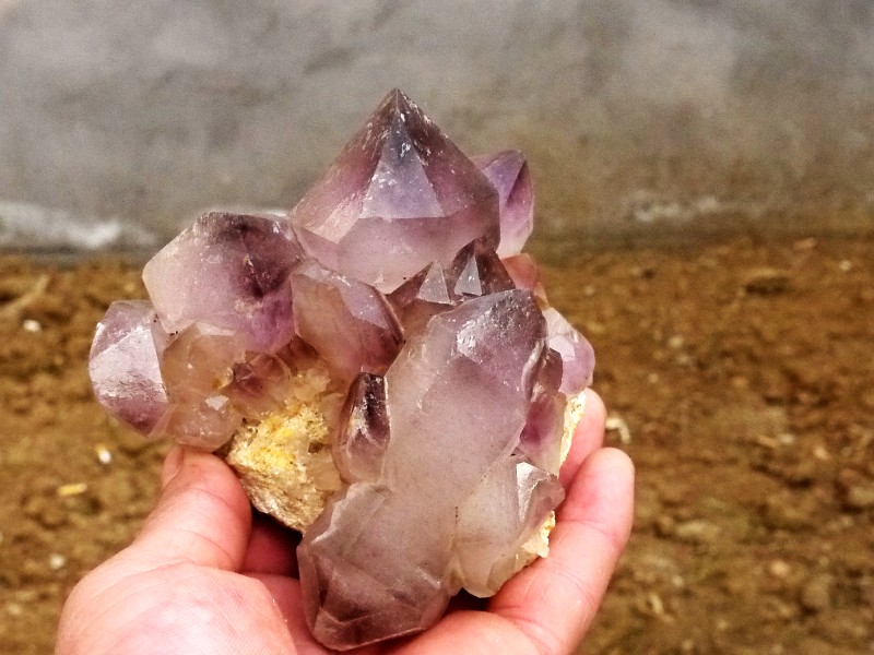 天然紫水晶簇原石摆件 紫水晶骨干水晶原石 紫水晶标本原石