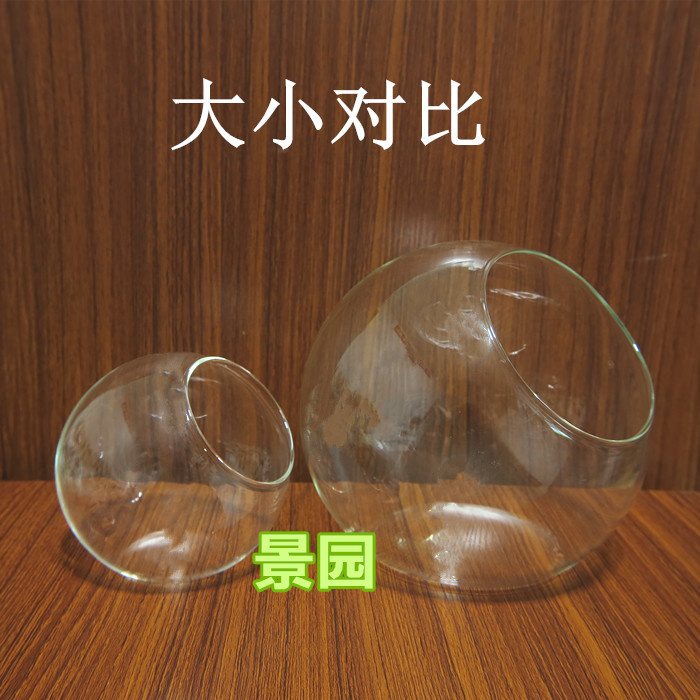 微景观 生态瓶 苔藓多肉景容器 苔藓DIY必备 微景观玻璃瓶 特价