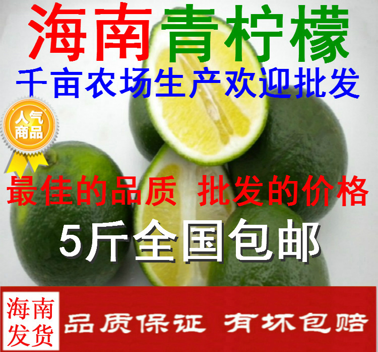 海南产地特产新鲜水果批发青柠檬青金桔果园直销特价全国5斤包邮