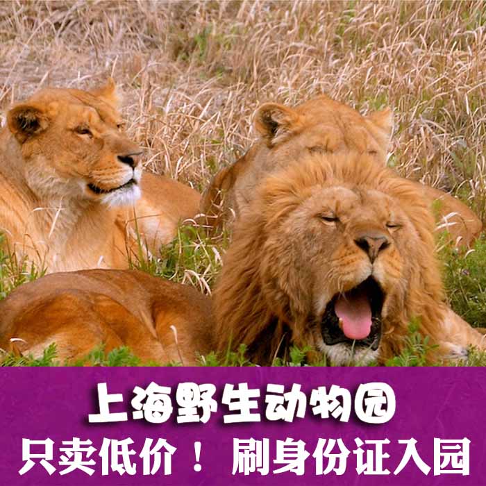 【电子票】上海野生动物园电子大门票/刷身份证入园/特价学生票