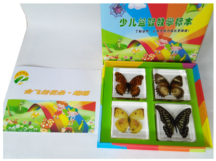 三育 包埋标本 会飞的花朵—蝴蝶 儿童益智科学实验标本 树脂透明