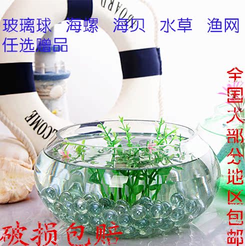 圆形透明玻璃金鱼缸 乌龟缸大号鼓缸 绿萝种植 玻璃鱼缸 圆形花瓶