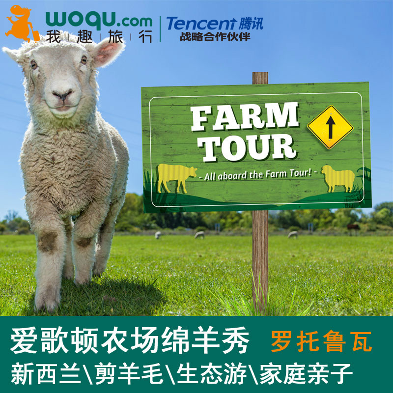 新西兰罗托鲁瓦爱歌顿牧场体验一日游 剪羊毛农场秀/生态游可选