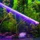 森森佳宝水族鱼缸用T8LED灯管10W15W20W25W30W40W58W水草增色防水