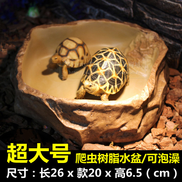 包邮爬虫箱陆龟饲养箱超大号水盆树脂泡澡盆蜥蜴陆龟水池饮水盆