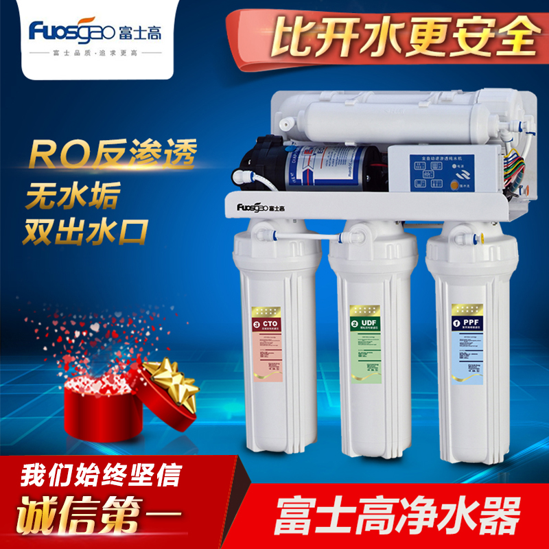 特价促销家用高端豪华FSG-RO2净水器双出水可配净水机过滤器