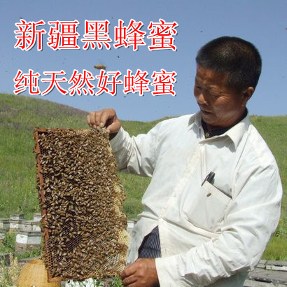 新疆黑蜂蜜1000g 纯净天然农家自产原生态野山花百花原蜜无添加蜜