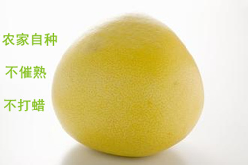 蜜柚预售 蒲江白肉琯溪柚 农家自种新鲜水果2个装约5斤包邮