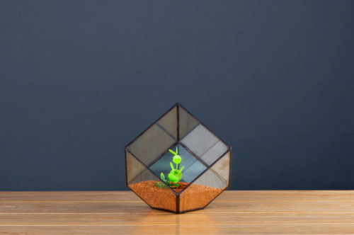 小铸锡创意几何图形微景观铁艺玻璃花房 微观景diy永生花玻璃罩
