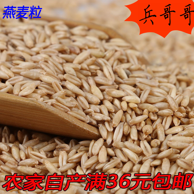 农家自产2016 沂蒙山 新货优质燕麦米  野麦 雀麦散装杂粮