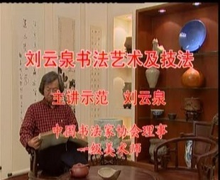 《刘云泉书法艺术及技法》（上、下） 2VCD视频