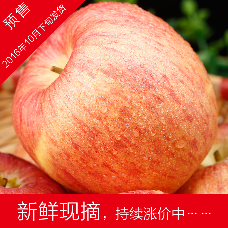 [现摘预售]陕西80-84#红富士新鲜好吃农家水果冰糖心苹果航空包邮