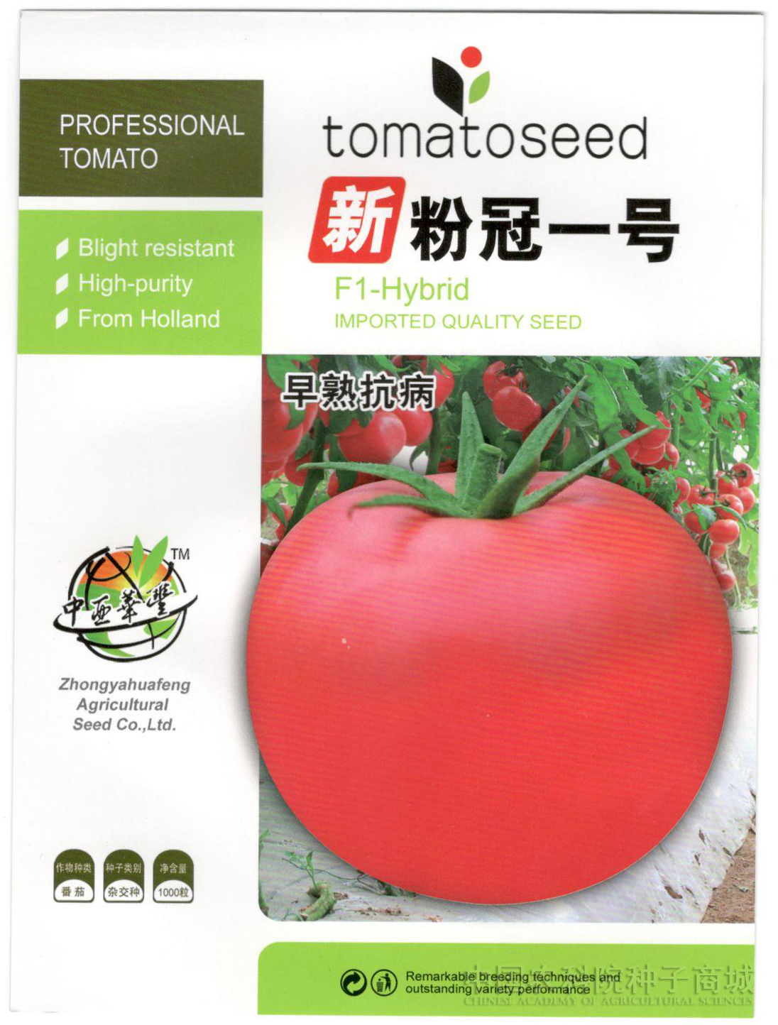 蔬菜种子进口新粉冠一号番茄种子粉果进口抗病毒抗线虫西红柿种子