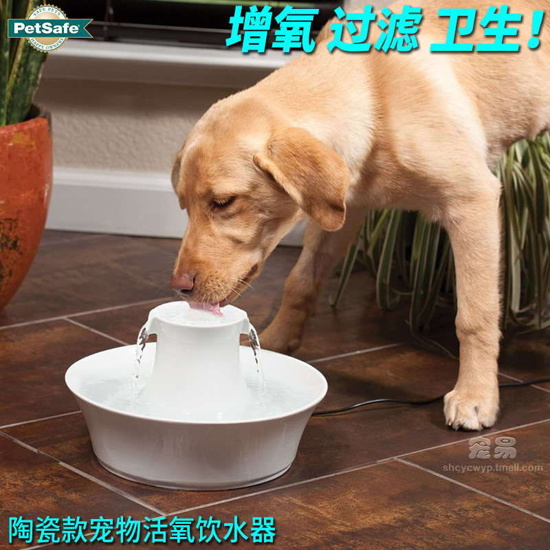 美国Drinkwell 电动活水犬猫饮水机饮水器 陶瓷宠物喷泉饮水器