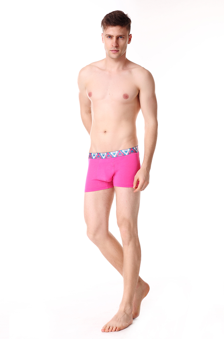 满4条包邮 莫代尔精品男士内裤纯色轻薄透气粉色品牌平角裤