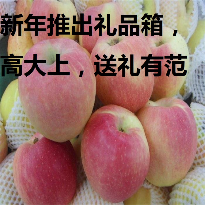 特价促销 原生态灵宝红富士苹果90-80#大果新鲜有机水果包邮批发