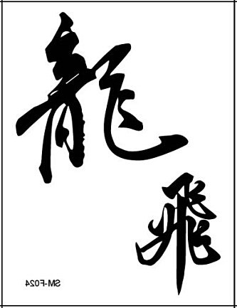 纹身贴 汉字文字龙飞 男女防水刺青 书法文字纹身贴纸飞龙F024