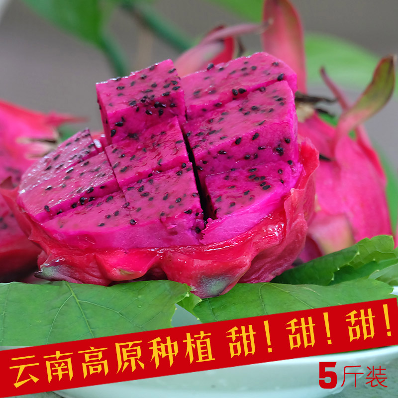 云南宾川高原生态红心火龙果 时令新鲜水果红肉火龙果5斤包邮超甜
