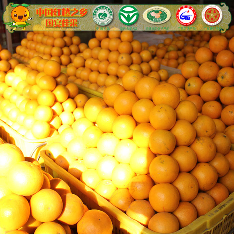 5斤装廉江红橙地理标志保护特产红肉橙无公害绿色食品A级国宴佳果