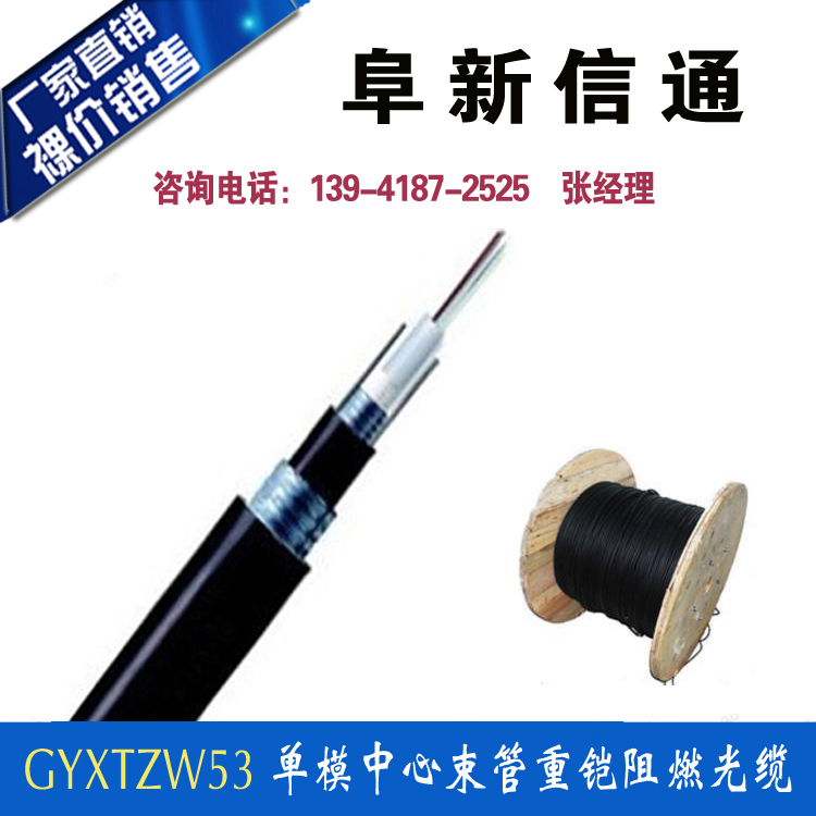 GYXTZW53-10单模10芯中心束管式重铠阻燃室外光缆