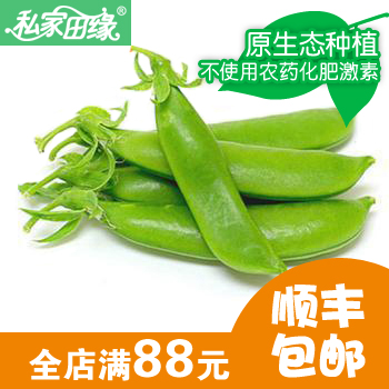 甜豆(荷仁甜豆)山泉农场直供 新鲜蔬菜包邮原生态有机蔬菜(250g)