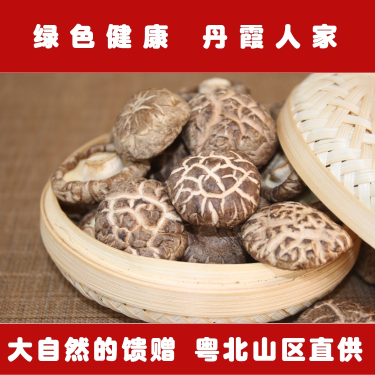 广东丹霞特产大花菇农家香菇冬菇干货特级野生椴木花菇批发250克