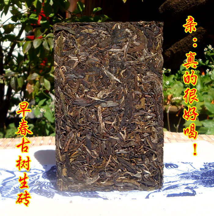 云南普洱茶 2013年早春乔木古树茶砖 勐海生茶砖茶 250g特价包邮