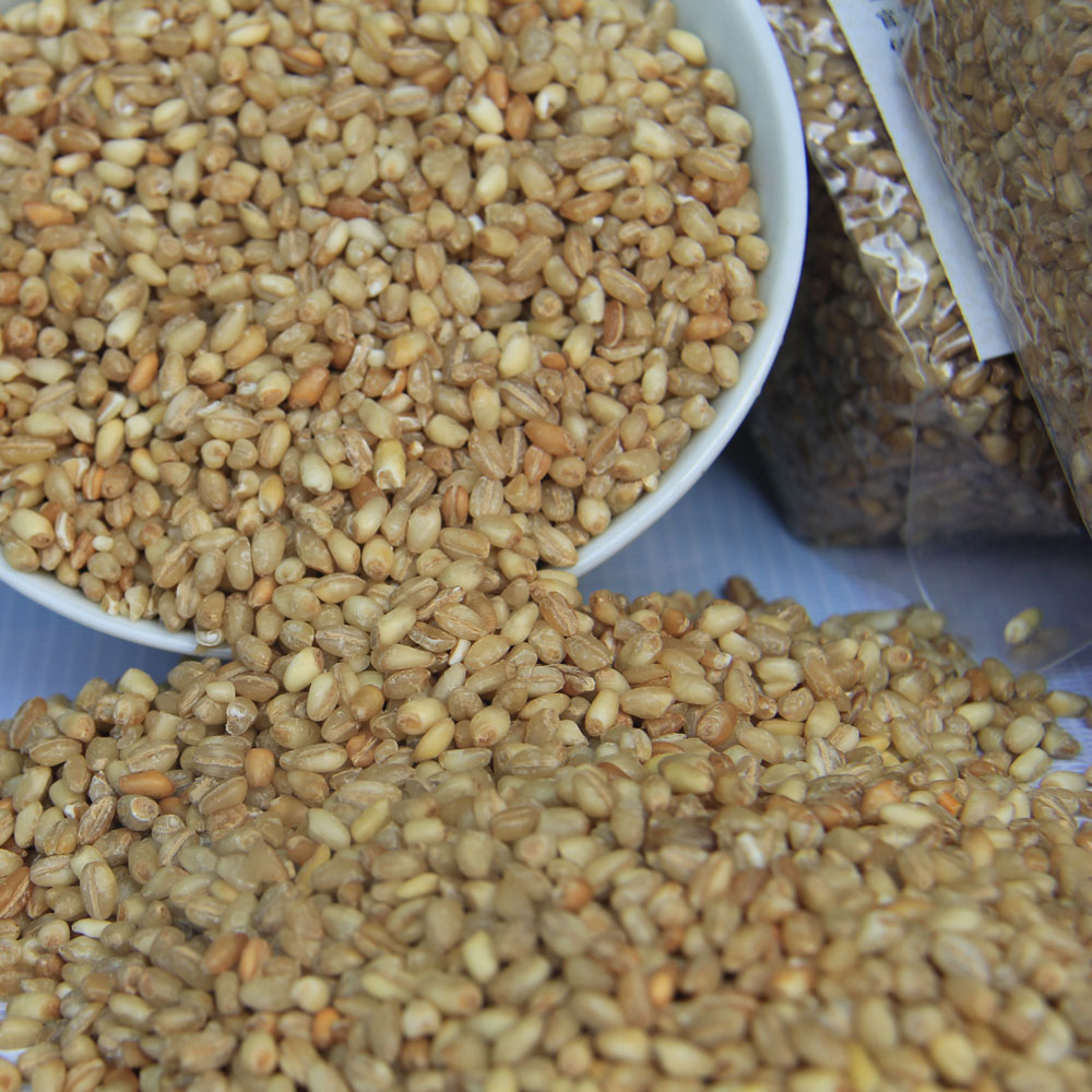 新麦农家自产冬小麦去皮麦仁无添加粗粮五谷杂粮八宝粥小麦米500g