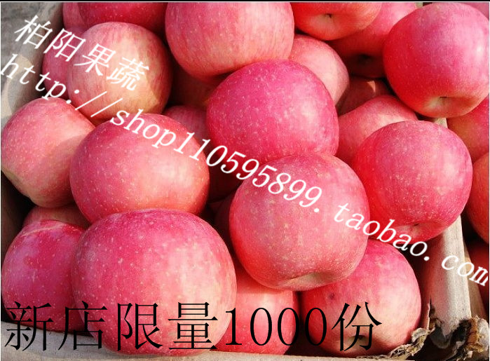 烟台红富士苹果4.5斤装90-95# 新鲜水果 栖霞苹果 特产包邮